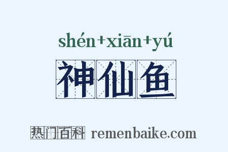 神仙鱼是什么意思的图片